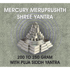 Parad Shree Yantra With Pooja